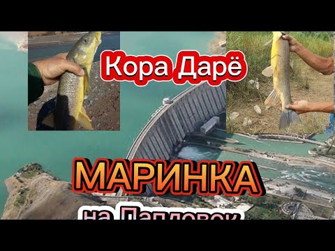 Видео: Маринка ови 23 февраль 2025 йил. Экскурсия Табиат Манзарага бахо бериб куямиз