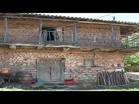 Видео: БРАЈЧИНО