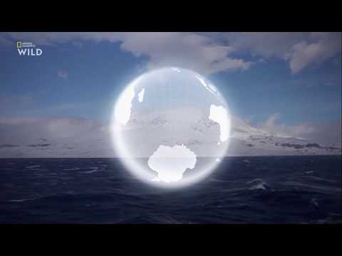 Видео: Nat Geo Wild - Холодные острова - 2 Серия