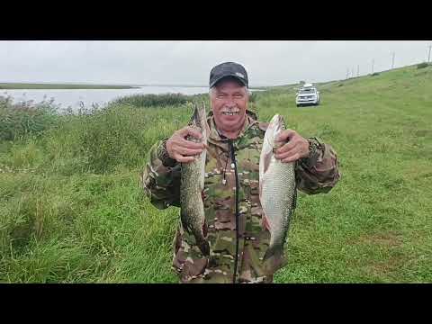 Видео: Рыбалка на спиннинг. Дусай-Кичу -Мелькень- Сарсаз-горы.