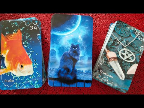 Видео: Обзор и значение Оракула Затмение от Амиры