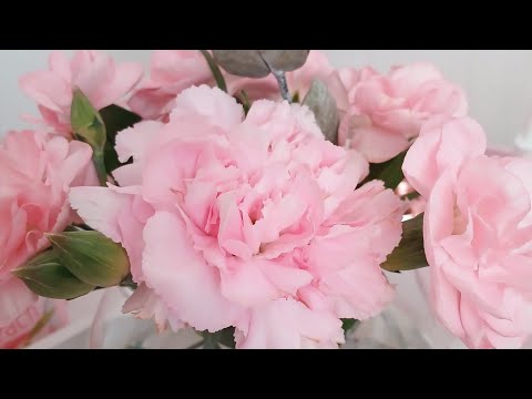 Видео: Уютный влог🎀wildberries покупки/маникюр/аромат/магнит косметик #barenia#pink #обзор #mixit