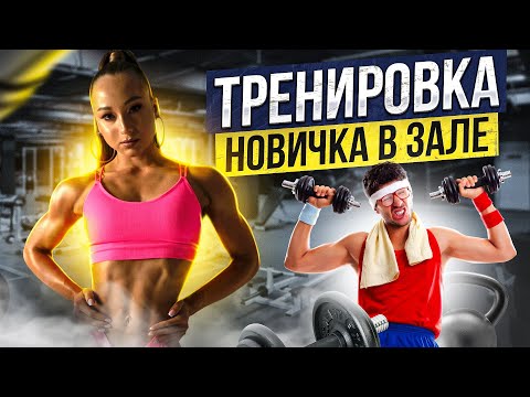 Видео: Тренажерный зал для начинающих без тренера. Подборка упражнений от elechkasport