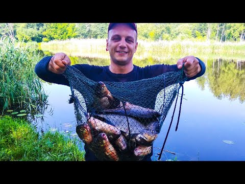 Видео: Лещ МОНСТР разогнул КАРПОВЫЕ КРЮЧКИ!!! Ловля ЛЕЩА на донки КРОКОДИЛ. ЛИНЬ на ПОПЛАВОК.