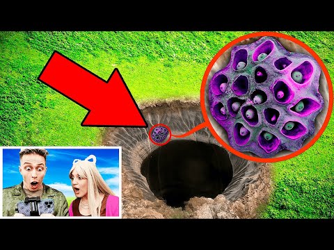 Видео: мой дрон снял ТРИПОФОБИЮ, она шевелится!