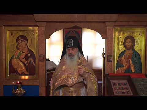 Видео: Демоны и современное человечество.