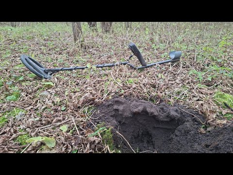 Видео: Осенний КоП металла по старым местам!!!