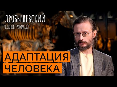 Видео: Как среда формировала человека и как он адаптировался?