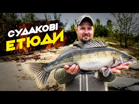 Видео: Судаки в Києві: в гостях у дяді Віті