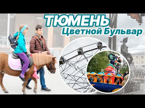 Видео: Тюмень. Цветной Бульвар и сквер сибирских кошек.