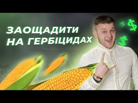 Видео: НАЙДЕШЕВШІ ГЕРБІЦИДИ НА КУКУРУДЗУ 2023