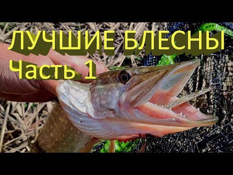 Видео: 🔥 Лучшие БЛЕСНЫ на ЩУКУ (часть 1). Mepps или Kuusamo? ЩУКА ОЦЕНИЛА, всю рыбалку спиннинг в дугу 🔥