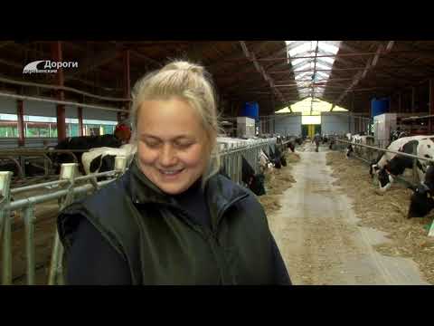 Видео: Дороги деревенские 24.10.22