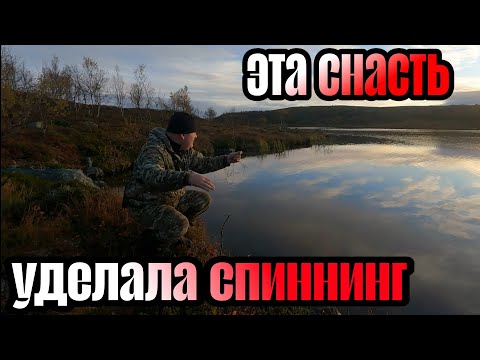 Видео: РЫБАЛКА на ЗАКИДУШКУ. Ночевка в ПАЛАТКЕ. Картошка с ГРИБАМИ.