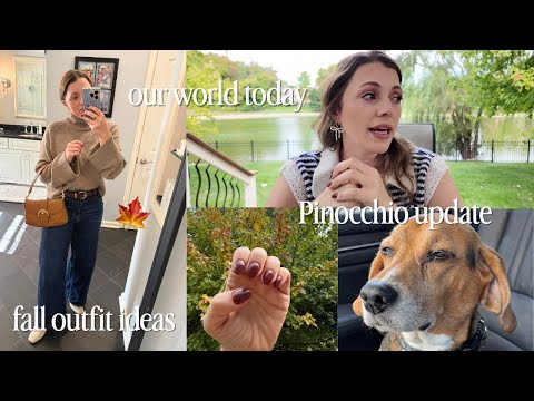 Видео: MIDWEST VLOG 🍁 Беседа, осенняя распродажа одежды Quince, новости о Пиноккио, косметика, которую я...