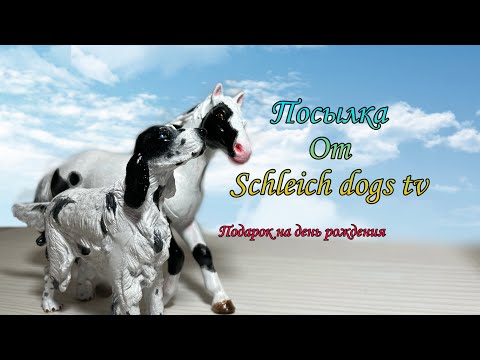 Видео: Посылка от Schleich dogs tv распаковка