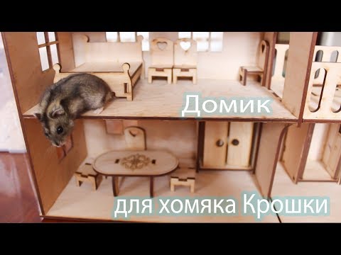 Видео: Игровой домик для хомяка Крошки