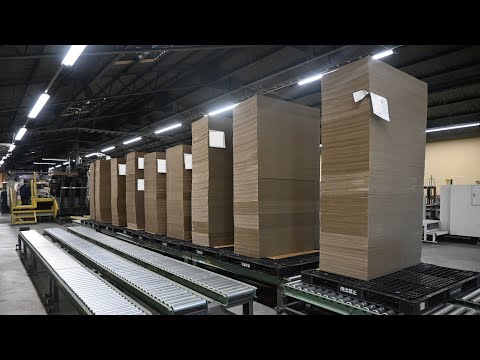 Видео: Процесс массового производства картонных коробок. Экскурсия по японской фабрике картонных коробок.