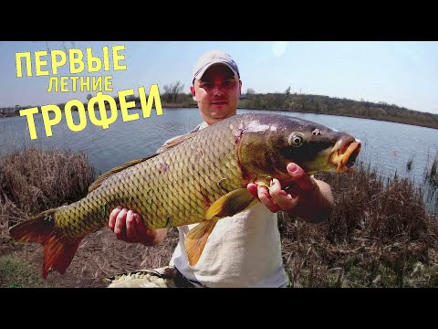 Видео: Карповая рыбалка на Макуху! Первый летний Трофей!