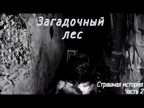 Видео: Загадочный лес (часть вторая) - Страшная История