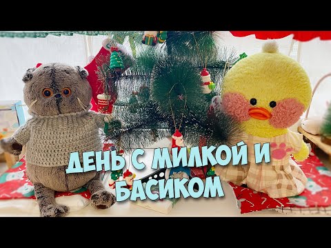 Видео: МОЙ ДЕНЬ С МИЛКОЙ И БАСИКОМ!