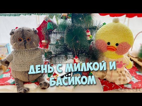 Видео: МОЙ ДЕНЬ С МИЛКОЙ И БАСИКОМ!