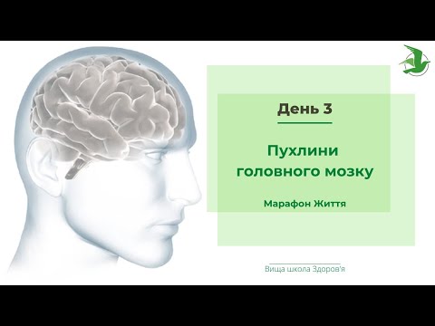 Видео: День 3. Пухлини головного мозку. Причини і особливості допомоги. Марафон Життя лікаря Василя Чайки