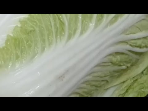 Видео: 5 минут на ЧИМЧИ!