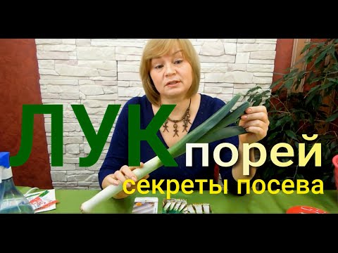 Видео: Выращивание Лука Порея из Семян на рассаду. Советы от Зеленого огорода.