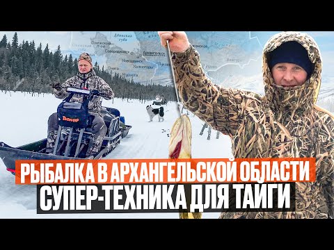 Видео: ОТЛИЧНАЯ РЫБАЛКА В АРХ АНГЕЛЬСКОЙ ОБЛАСТИ // ПЕРЕСЕЛ НА МОТОТОЛКАЧ // СУПЕР-ТЕХНИКА ДЛЯ ТАЙГИ