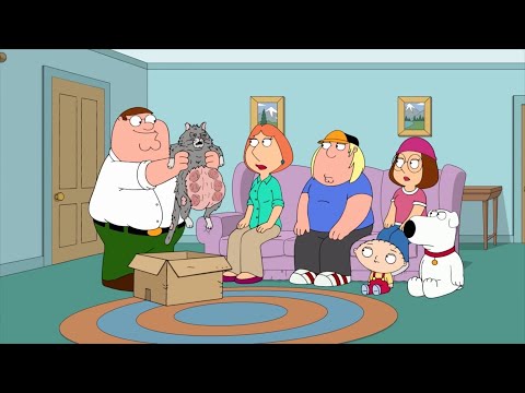 Видео: Гриффины Самые ржачные моменты!!!!16 сезон