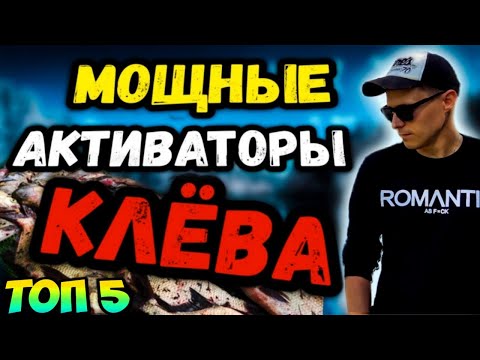Видео: МОЩНЫЕ АКТИВАТОРЫ КЛЁВА ТОП 5  /  Для карася, леща, плотвы, карпа / Рыбалка на фидер