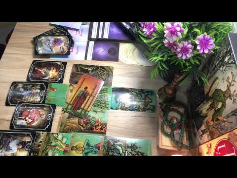 Видео: Мэлхий, Хилэнц, Загас 9 сарын төлөв