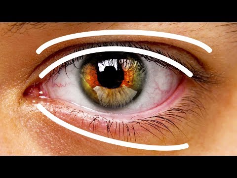 Видео: 13 частей тела, которые так же уникальны, как ваши отпечатки пальцев