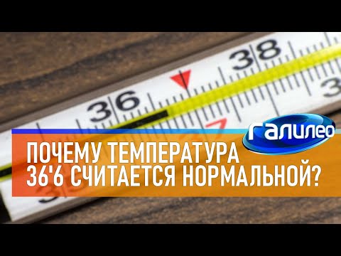 Видео: Галилео 🌡️ Почему температура 36 и 6 считается нормальной?