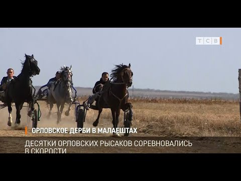 Видео: Орловское дерби в Малаештах