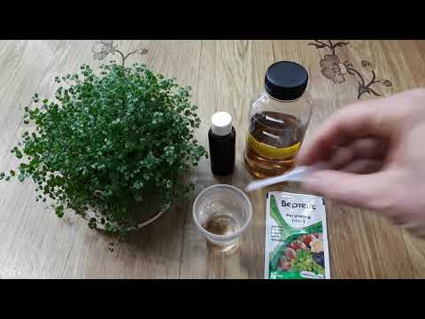 Видео: МОЙ СПОСОБ работы со СТИМУЛЯТОРАМИ. Полезно знать! Отвечаю на вопросы