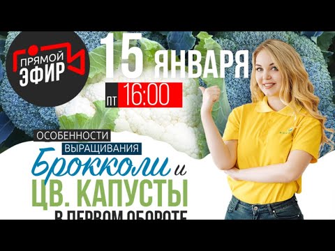 Видео: 🥦Особенности выращивания брокколи и цветной капусты в первом обороте🥦