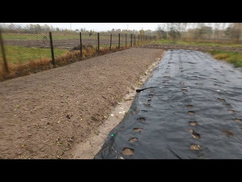 Видео: Дощі Лютують і садити Треба