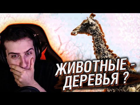 Видео: Hellyeahplay смотрит: Почему Животные Превращаются В Деревья?