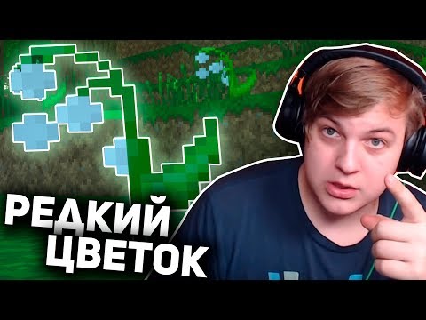 Видео: ПЯТЁРКА НАШЁЛ САМЫЙ РЕДКИЙ ЦВЕТОК В МАЙНКРАФТ