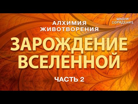 Видео: Алхимия Животворения. Зарождение Вселенной #СеминарыМосква #Гарат #школаСорадение