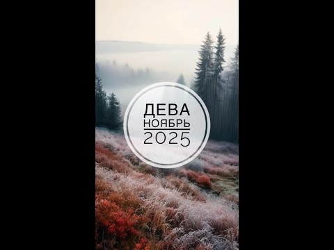 Видео: ДЕВА. ТАРО-ПРОГНОЗ НА НОЯБРЬ 2025