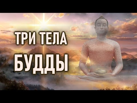 Видео: Встретить Будду опасно.