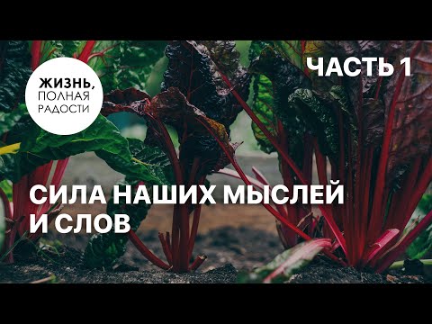 Видео: Cила наших мыслей и слов | Часть 1 | Джойс Майер