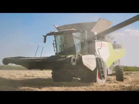 Видео: Фермеры, выращивающие рис, ощутили пользу программы «Кең Дала»