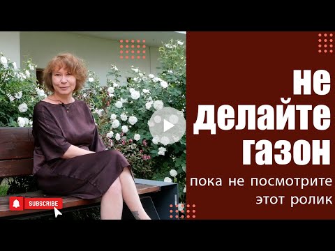 Видео: Дешёвое и эффектное озеленение городских дворов