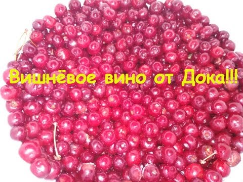 Видео: Вишнёвое вино.