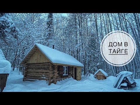 Видео: Проснулись как в сказке | Лесная изба | Выпекаем хлеб на медовой опаре | Устраняем недочет