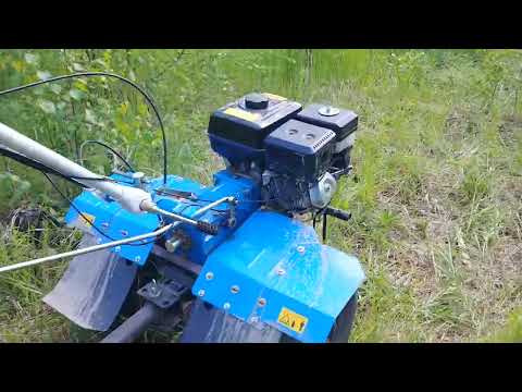 Видео: Обзор мотоблока и на нем за дровами!!!